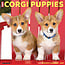 Willow Creek Calendario dei cuccioli di corgi gallesi 2025