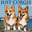 Willow Creek Welsh Corgi Calendar 2025