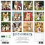 Welsh Corgi Kalender 2025