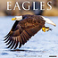 Sea Eagle Calendar 2025