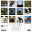 Sea Eagle Calendar 2025