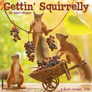 Willow Creek Calendario Gettin Squirrelly 2025