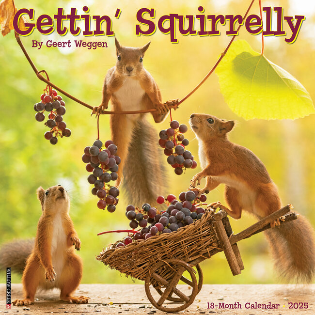 Gettin Squirrelly Calendar 2025