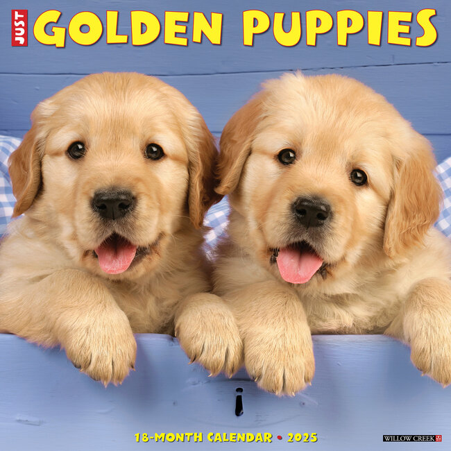 Willow Creek Calendario dei cuccioli di Golden Retriever 2025