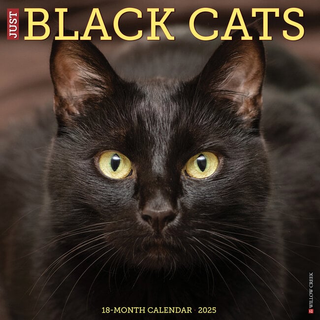 Black Cats Calendar 2025