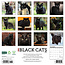 Black Cats Calendar 2025