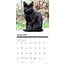 Black Cats Calendar 2025