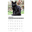 Black Cats Kalender 2025