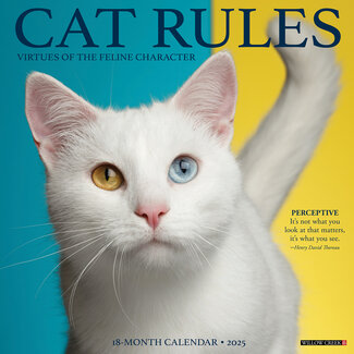 Willow Creek Cat Rules Calendar 2025