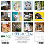 Cat Rules Calendar 2025