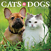 Willow Creek Calendario Gatos y Perros 2025