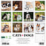 Cats and Dogs Kalender 2025