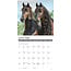 Friesian Horses Calendar 2025