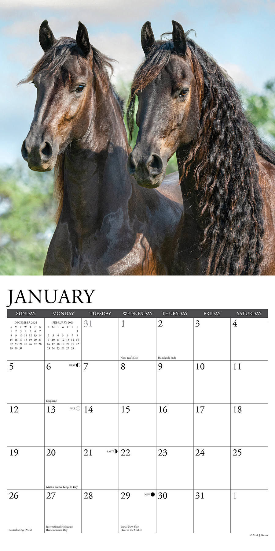 Buying Friesian Horses Calendar 2025 Order easily online
