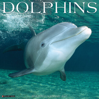 Willow Creek Dolphin Calendar 2025