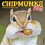 Chipmunks Calendar 2025