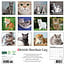 British Shorthair Calendar 2025