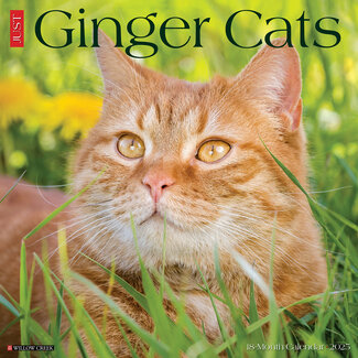 Willow Creek Red Cat Calendar 2025