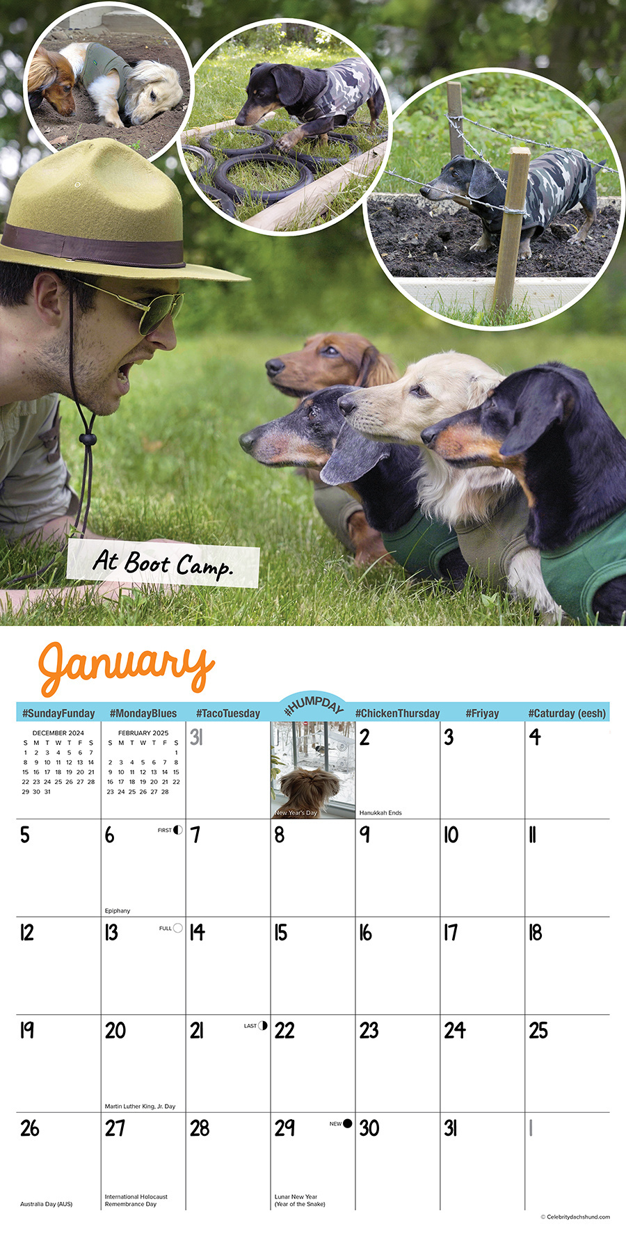 Buying Crusoe Calendar 2025 simply order online