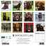 Labrador Retriever Brown Calendar 2025