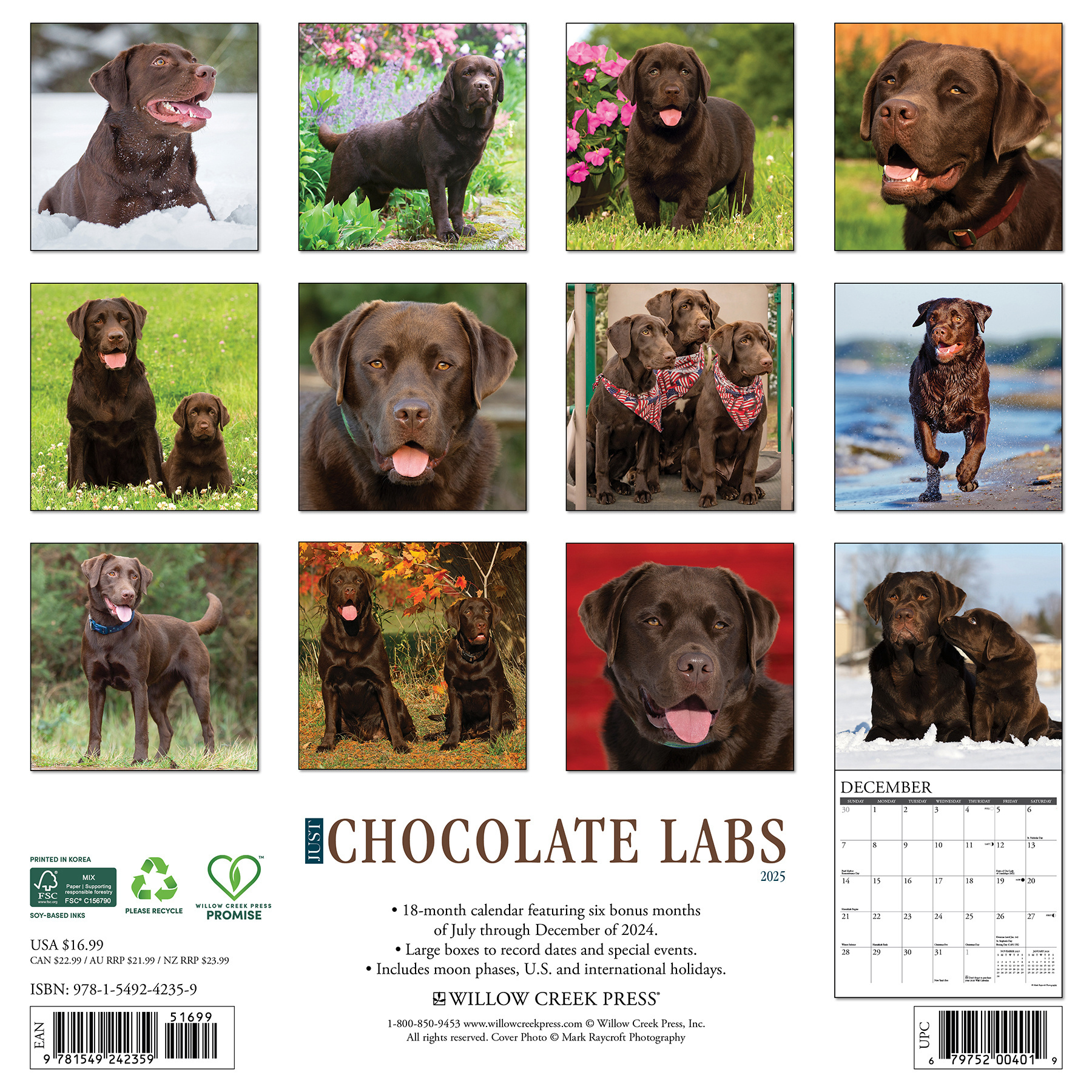 Labrador Retriever Brown Kalender 2025 kaufen Einfach online
