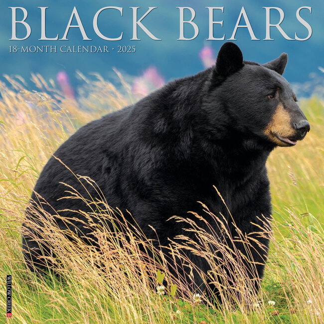 Willow Creek Black Bears Kalender 2025