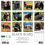 Black Bears Kalender 2025