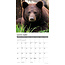 Black Bears Kalender 2025