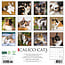 Calico Cats Kalender 2025