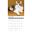 Calico Cats Kalender 2025