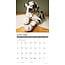 Deutsche Dogge Welpen Kalender 2025