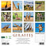 Calendrier Girafe 2025