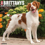 Willow Creek Brittany Spaniel Calendar 2025