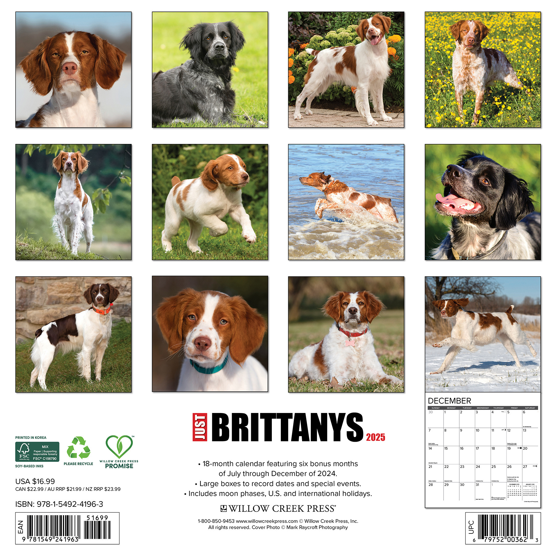Comprar Calendario Brittany Spaniel 2025 Simplemente haz tu pedido