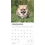 Pomeranian Calendar 2025