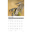 Calendario de aves de jardín 2025