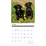 Labrador Retriever Calendrier noir 2025