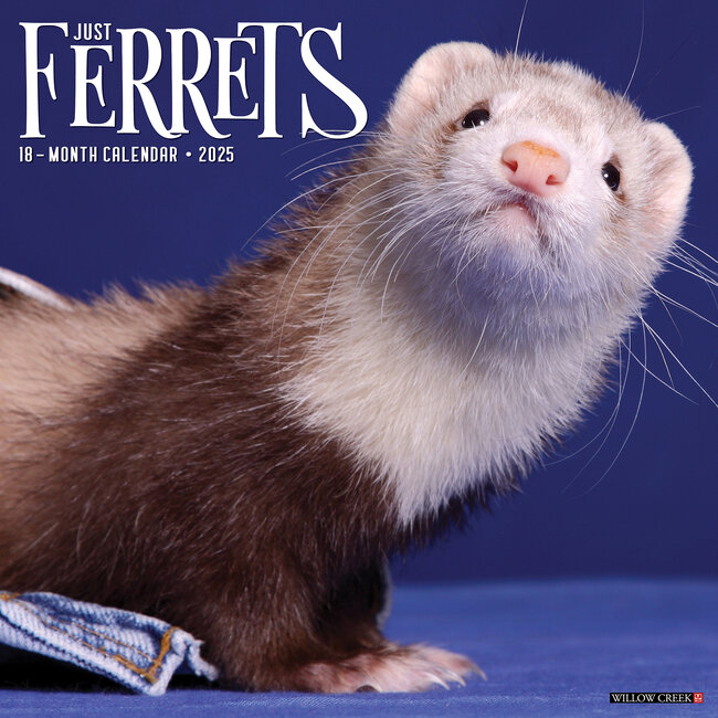 Ferret Calendar 2025