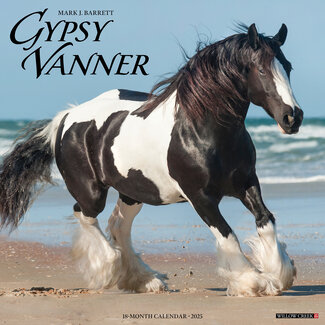 Willow Creek Gypsy Vanner Horse Kalender 2025