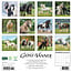 Gypsy Vanner Horse Calendar 2025