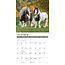 Gypsy Vanner Horse Calendar 2025