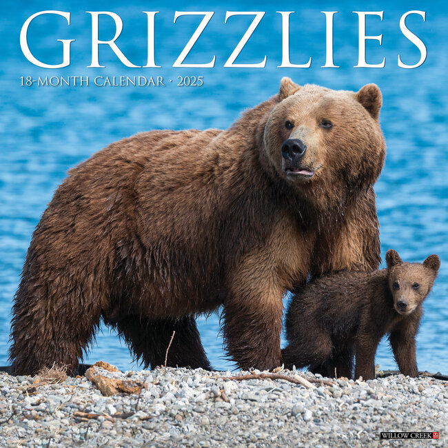 Grizzlies Kalender 2025