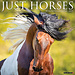 Willow Creek Horses Calendar 2025