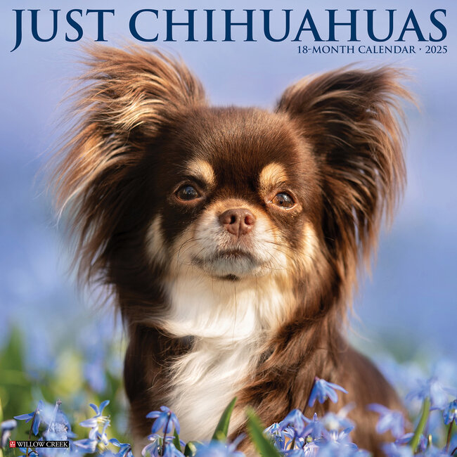 Chihuahua Calendar 2025