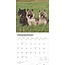 Calendrier Cairn Terrier 2025