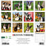 Boston Terrier Calendar 2025