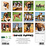 Boxer Puppies Kalender 2025