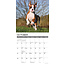 Boxer Puppies Kalender 2025