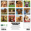 Calendario 2025 del Chesapeake Bay Retriever