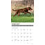 Calendario 2025 del Chesapeake Bay Retriever